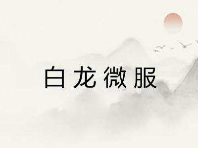 白龙微服