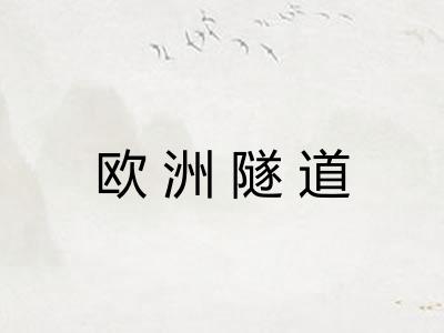 欧洲隧道 欧洲隧道