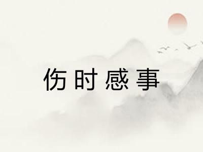 伤时感事
