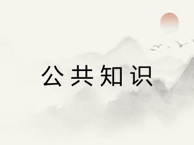 公共知识