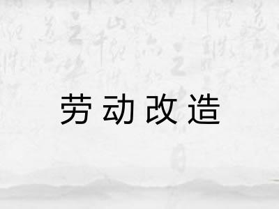 劳动改造 劳动改造