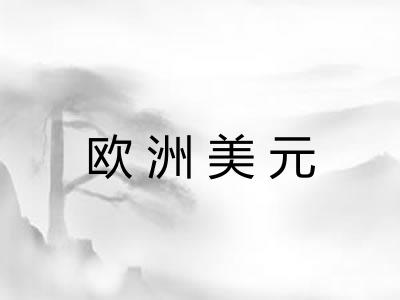 欧洲美元 欧洲美元