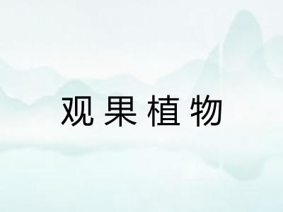 观果植物
