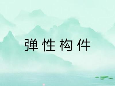 弹性构件 弹性构件