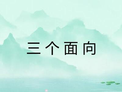 三个面向