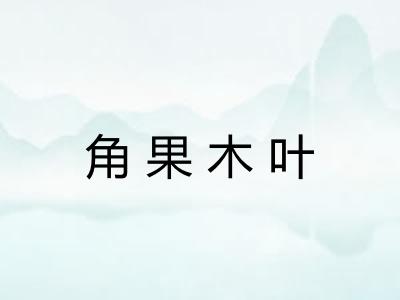 角果木叶 角果木叶