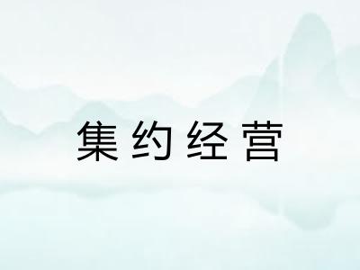 集约经营 集约经营