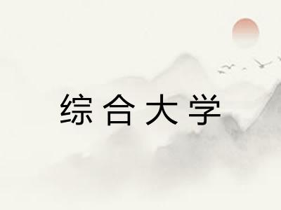 综合大学