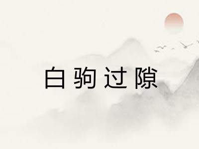 白驹过隙 白驹过隙