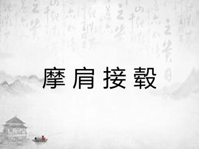 摩肩接毂 摩肩接毂