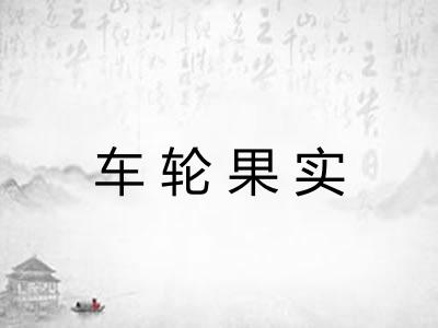 车轮果实 车轮果实