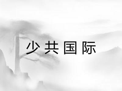 少共国际 少共国际