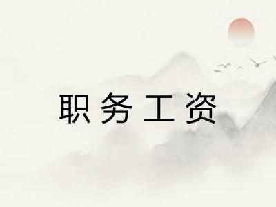 职务工资 职务工资