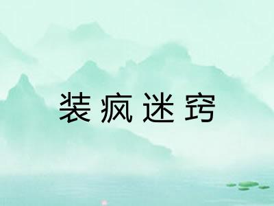 装疯迷窍 装疯迷窍