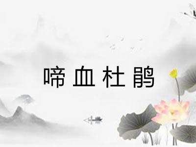 啼血杜鹃 啼血杜鹃