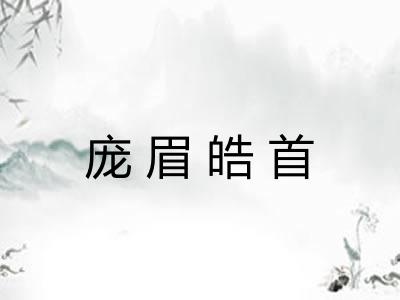 庞眉皓首 庞眉皓首