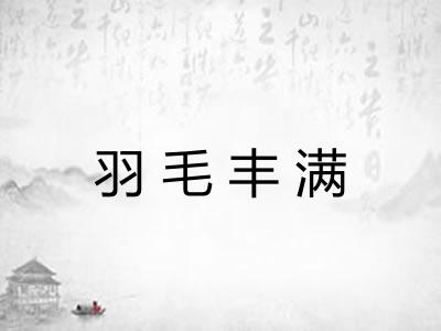 羽毛丰满 羽毛丰满