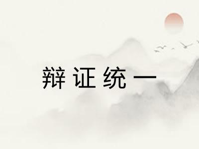 辩证统一 辩证统一