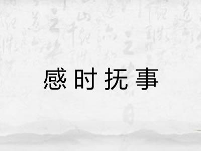 感时抚事