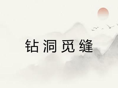 钻洞觅缝 钻洞觅缝