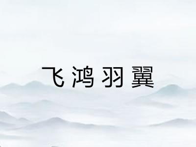 飞鸿羽翼