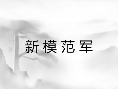 新模范军 新模范军