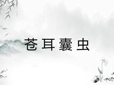 苍耳囊虫 苍耳囊虫