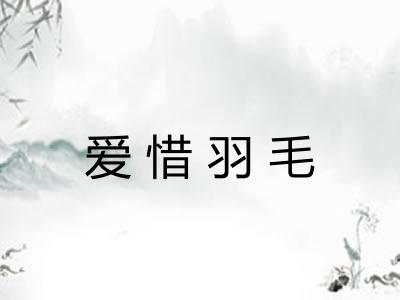 爱惜羽毛 爱惜羽毛