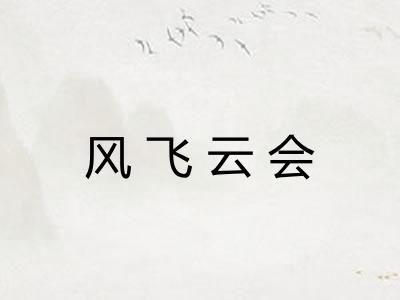 风飞云会 风飞云会