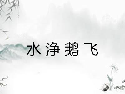 水浄鹅飞 水浄鹅飞