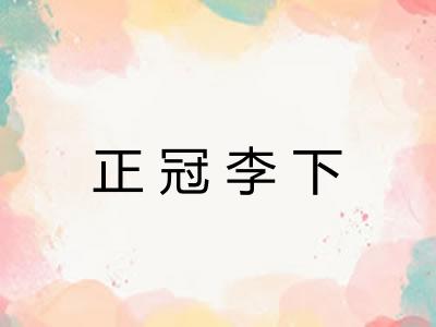 正冠李下