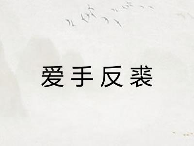 爱手反裘 爱手反裘