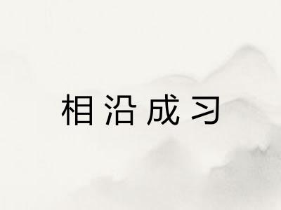 相沿成习 相沿成习