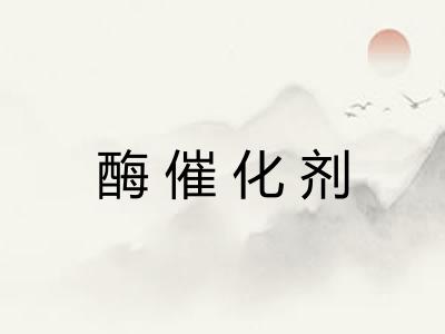 酶催化剂 酶催化剂