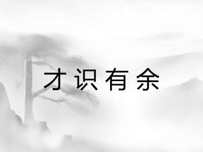 才识有余 才识有余