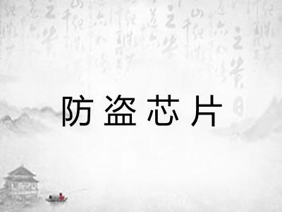 防盗芯片 防盗芯片