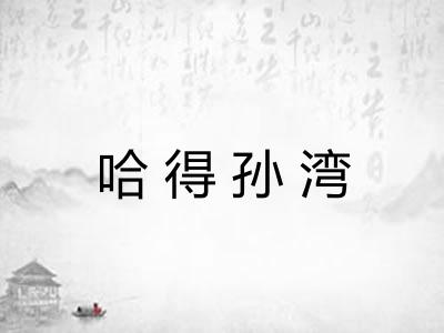 哈得孙湾 哈得孙湾