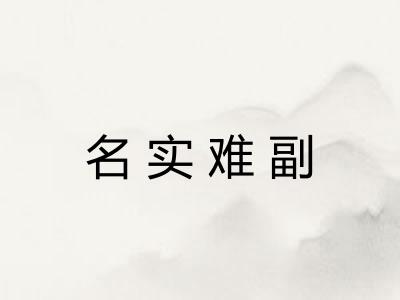名实难副 名实难副