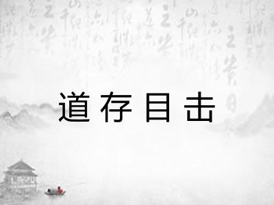 道存目击