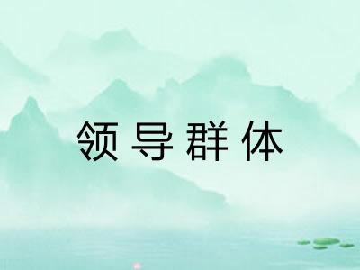 领导群体 领导群体