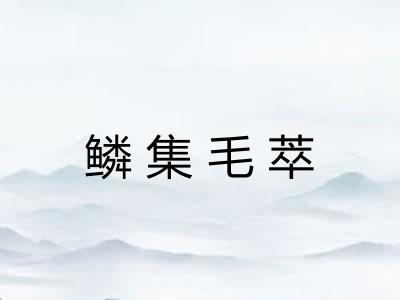 鳞集毛萃 鳞集毛萃