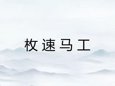 枚速马工 枚速马工