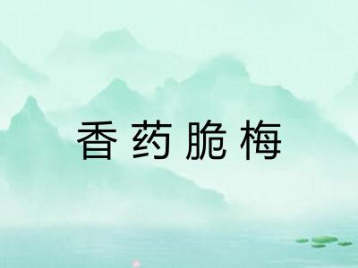 香药脆梅 香药脆梅