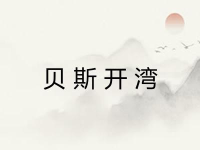 贝斯开湾 贝斯开湾