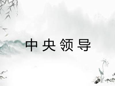 中央领导 中央领导