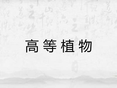 高等植物 高等植物