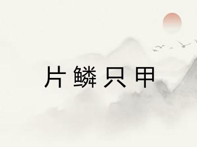 片鳞只甲 片鳞只甲