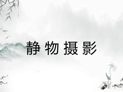 静物摄影 静物摄影