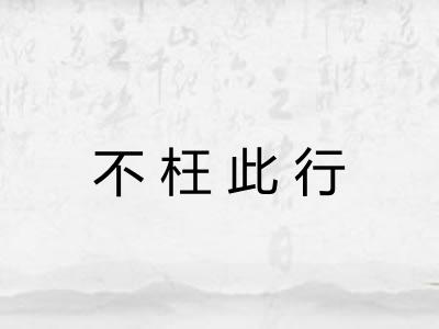 不枉此行