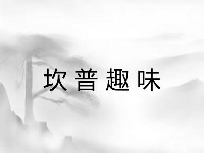 坎普趣味 坎普趣味